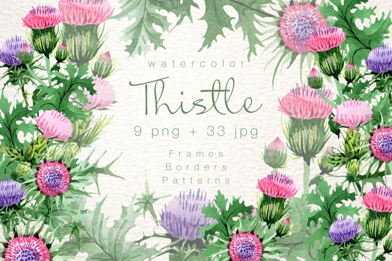 cool-thistle-png-watercolor-set