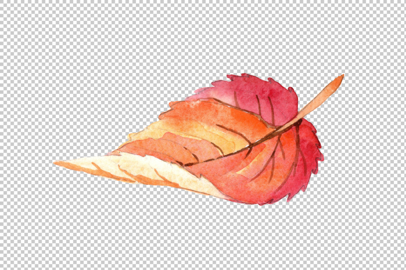 colorful-autumn-leaves-watercolor-png-set