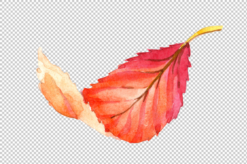 colorful-autumn-leaves-watercolor-png-set