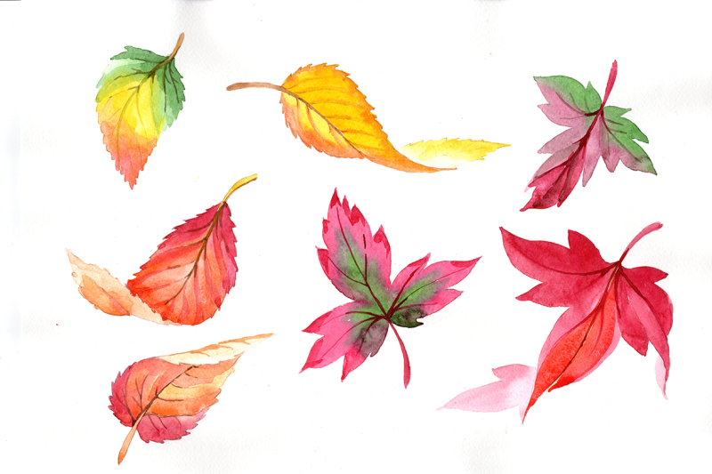 colorful-autumn-leaves-watercolor-png-set