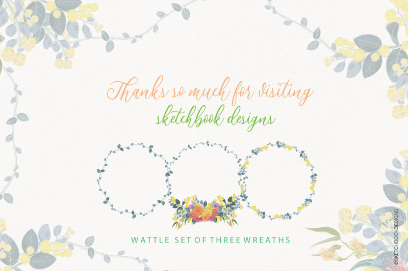 eucalyptus-and-wattle-floral-wreaths-illustrations