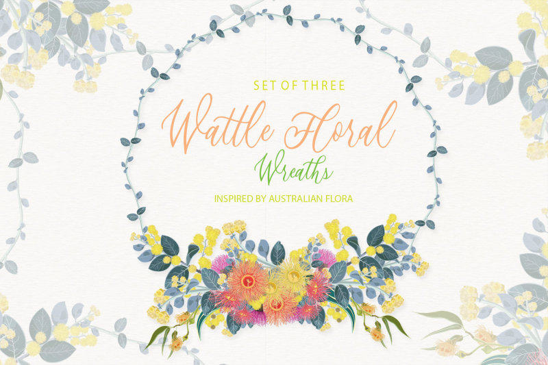 eucalyptus-and-wattle-floral-wreaths-illustrations