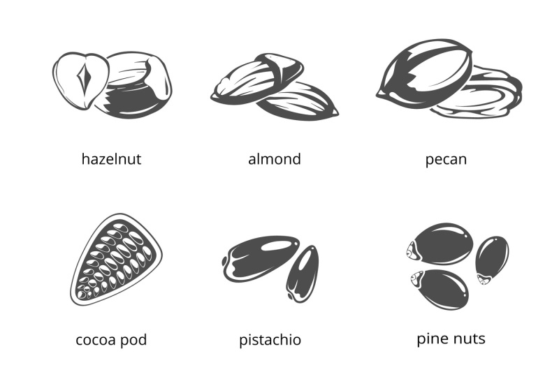 seeds-and-nuts-monochrome-vector-icons