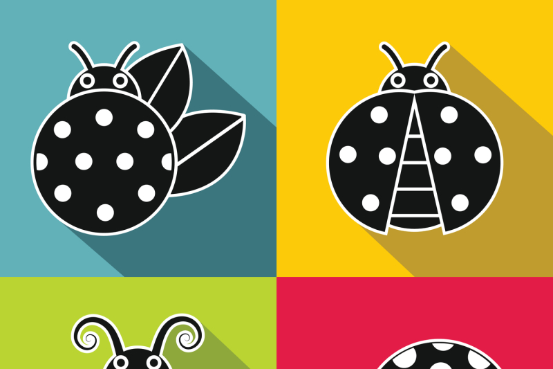 black-ladybug-with-white-stroke-on-color-background