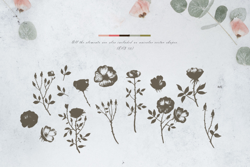 autumn-roses-watercolor-set