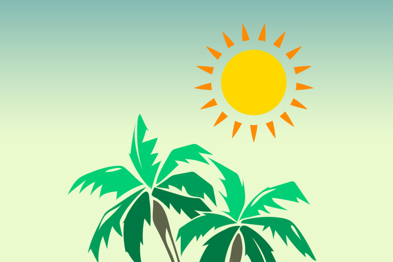 palm-trees-and-sun-design-elements