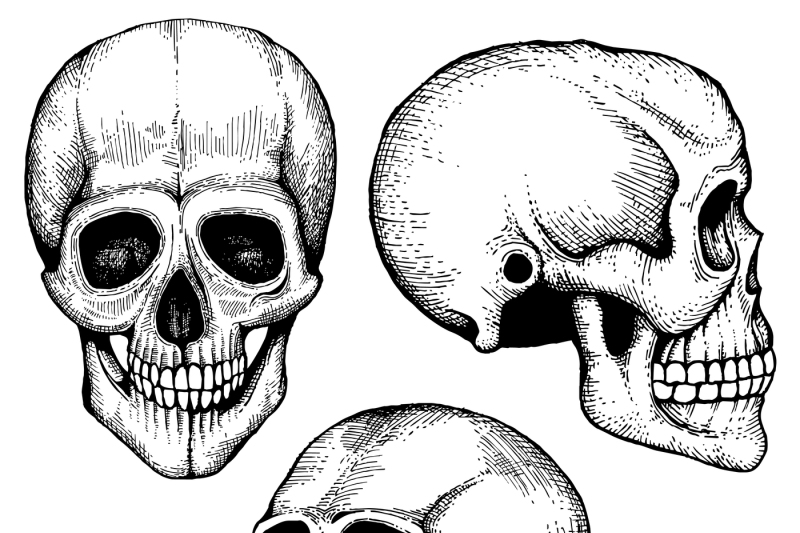 hand-drawn-vector-death-scary-human-skulls-collection