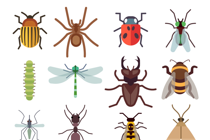 insect-vector-flat-icons-isolated-on-white-background