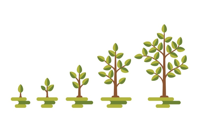 green-tree-growth-vector-diagram