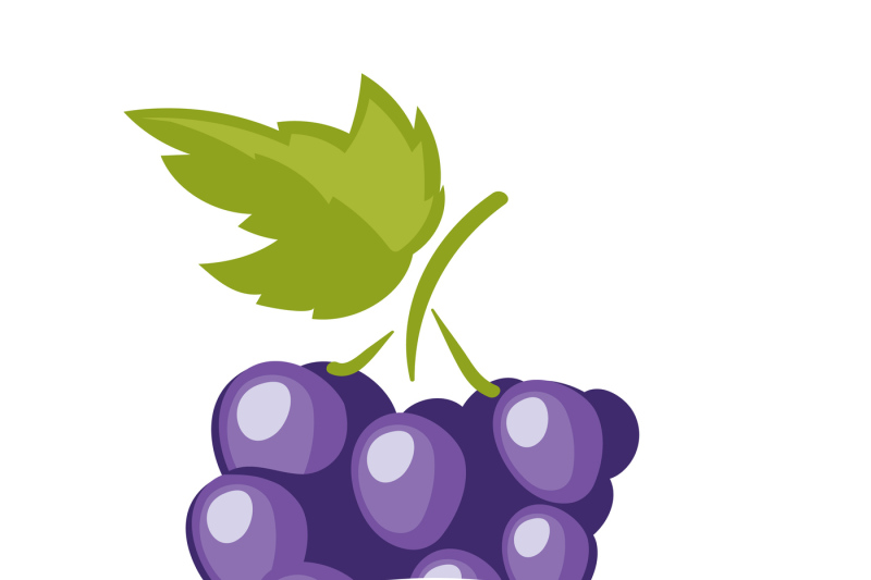 natural-grapes-juice-logo-label