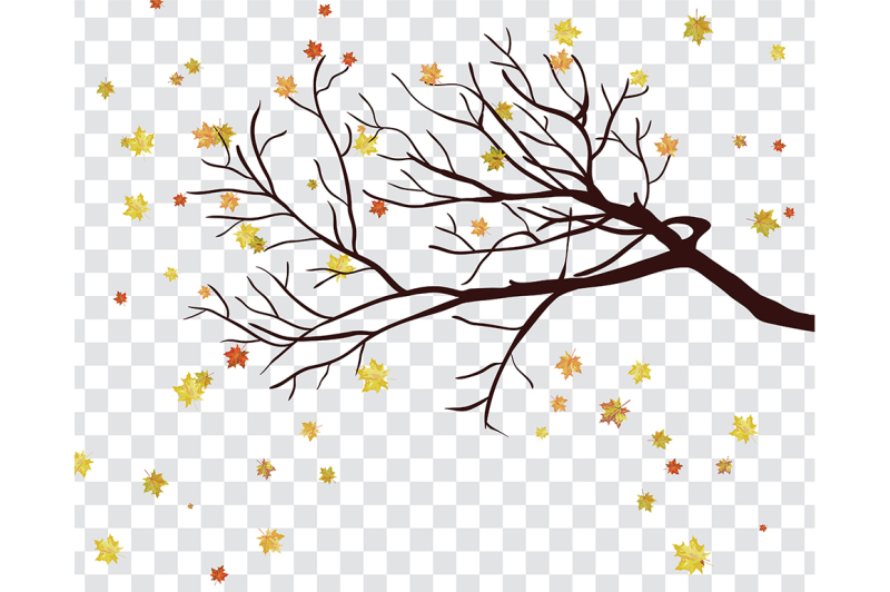 maple-leaves-on-transparency-grid