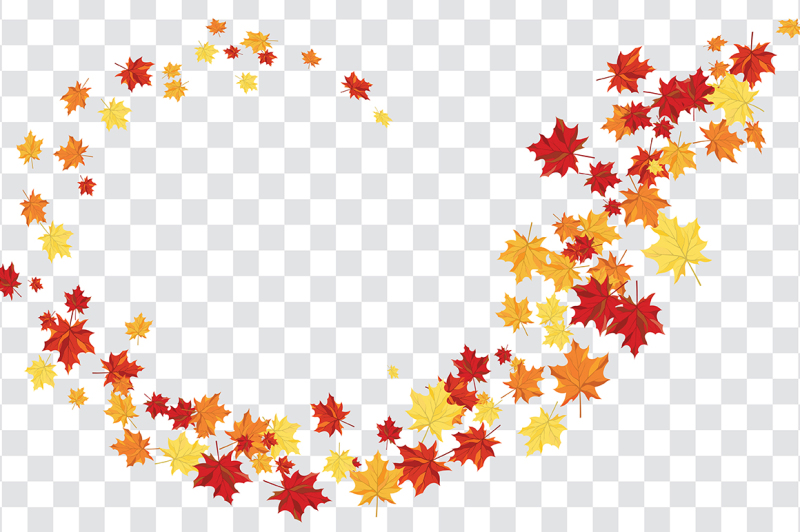 maple-leaves-on-transparency-grid