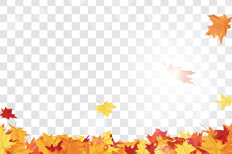 maple-leaves-on-transparency-grid