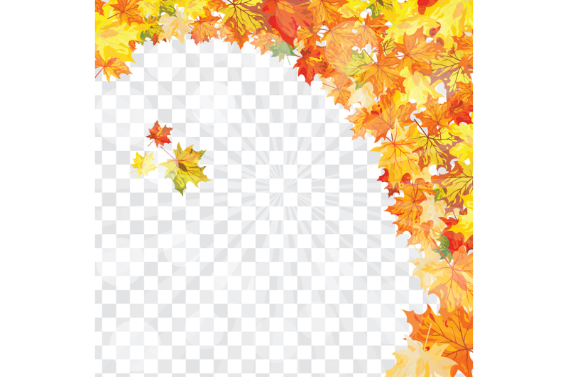 maple-leaves-on-transparency-grid