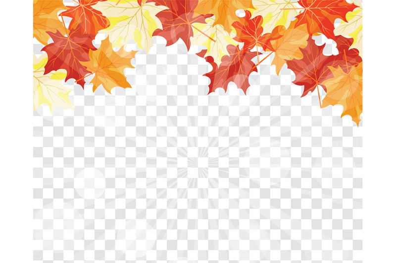 maple-leaves-on-transparency-grid