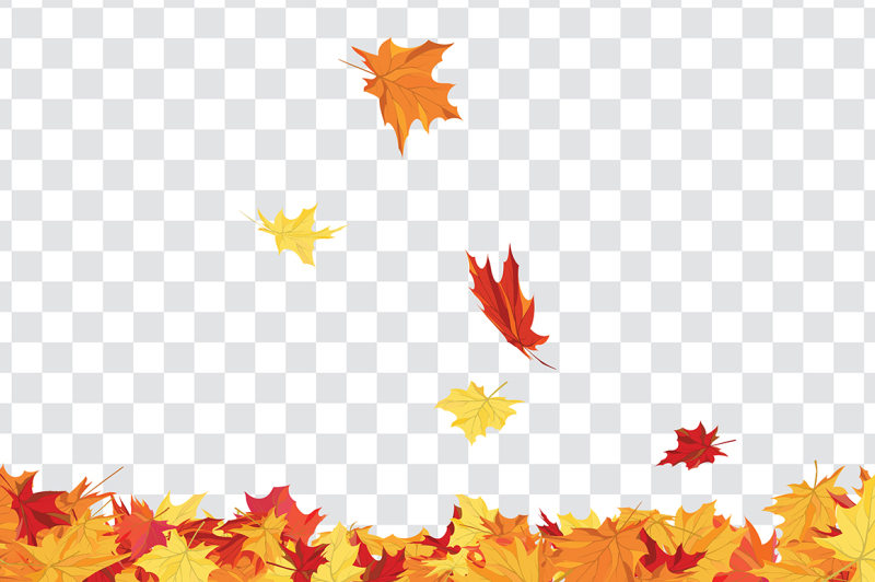 maple-leaves-on-transparency-grid