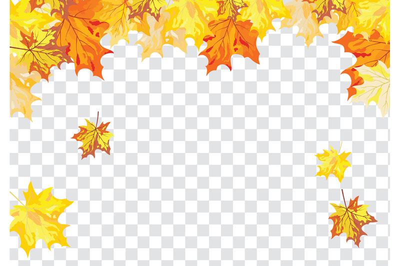 maple-leaves-on-transparency-grid