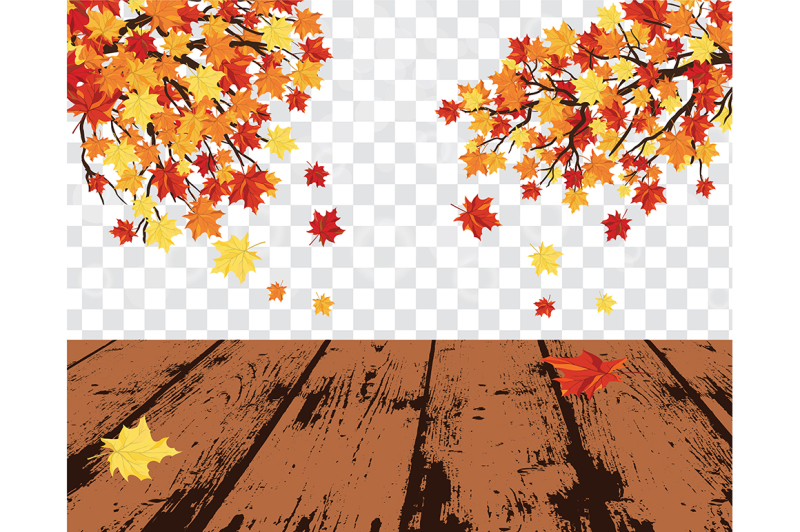 maple-leaves-on-transparency-grid