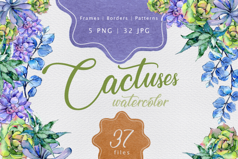 colorful-cactuses-png-watercolor-set