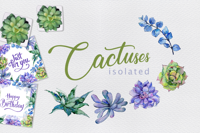 colorful-cactuses-png-watercolor-set