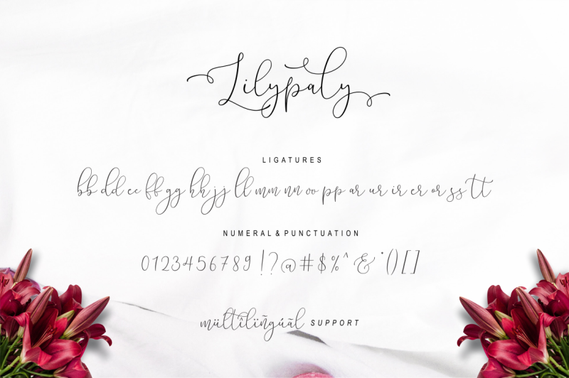 lilypaly-typeface