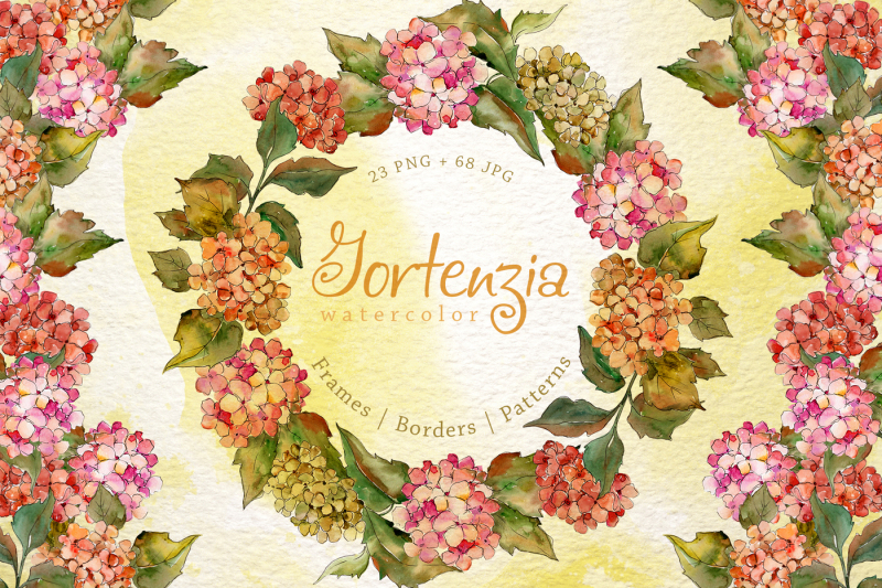 gortenzia-png-watercolor-flower-set