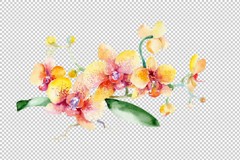 bouquet-yellow-orchid-flower-png-watercolor-set