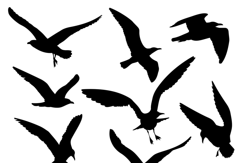 flying-birds-black-silhouettes-vector-set