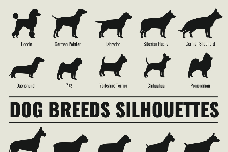 dog-breeds-vector-silhouettes-set