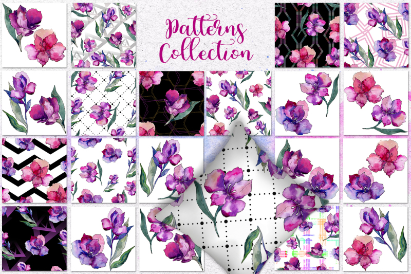 purple-alstroemeria-png-watercolor-set