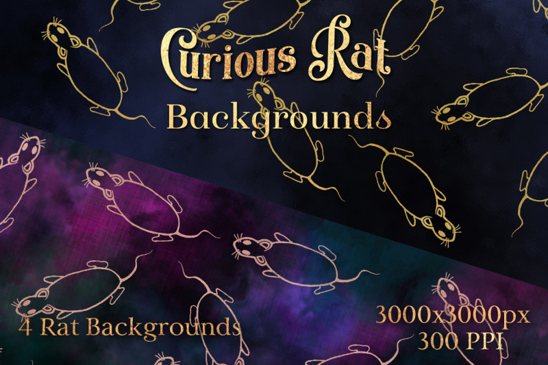 curious-rat-backgrounds-4-image-set