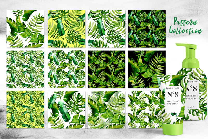 succulent-tropical-leaves-png-watercolor-set