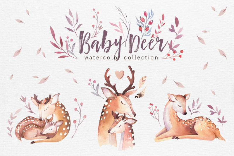 cute-baby-deer-collection