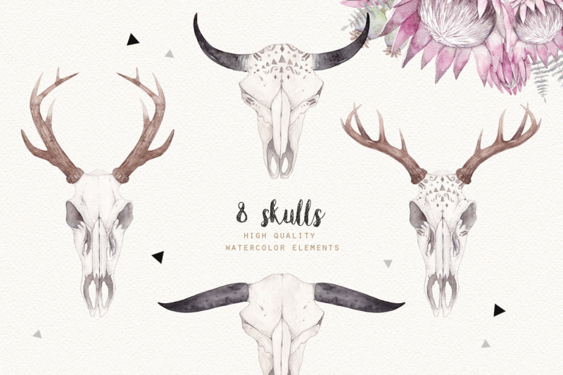 boho-skulls-watercolor-set