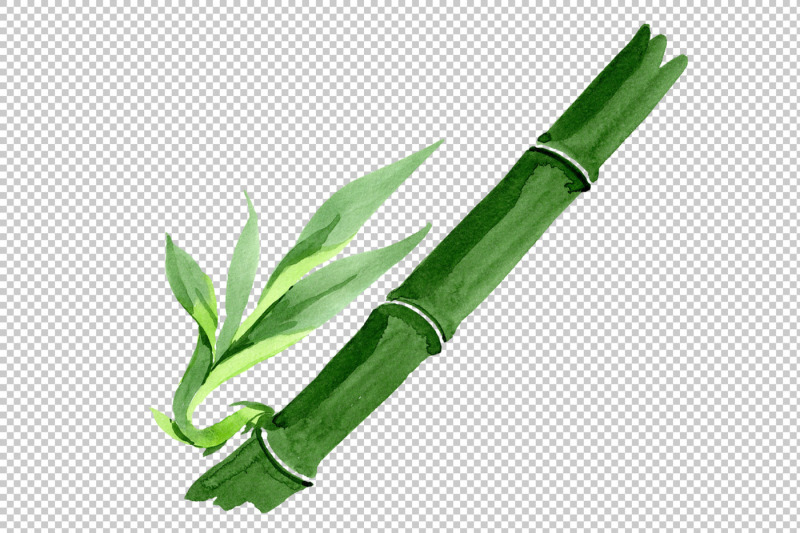 bamboo-tropic-plant-png-watercolor-set-nbsp