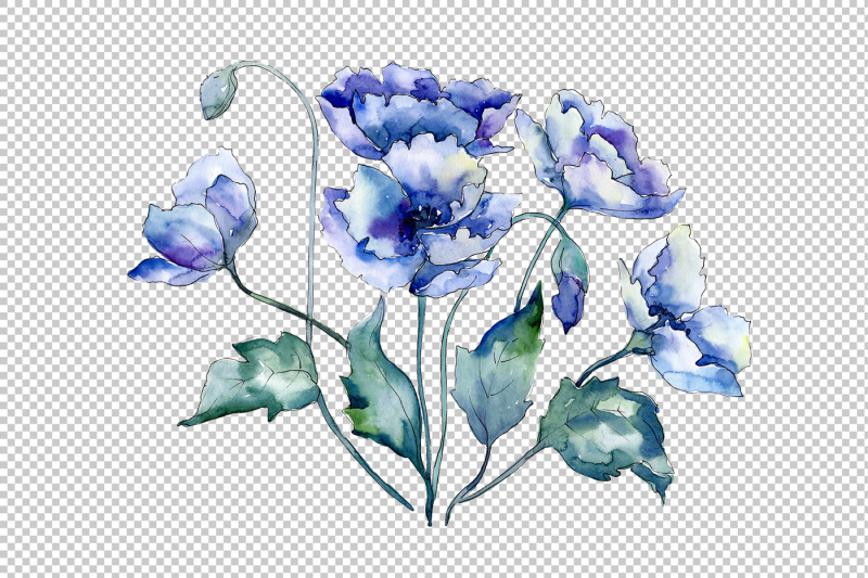 bouquet-of-blue-poppies-png-watercolor-set