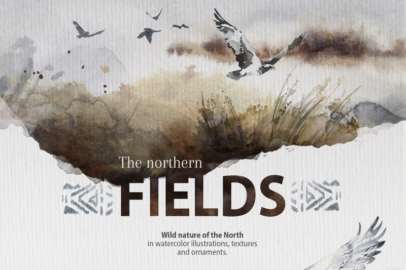 the-northern-fields-collection