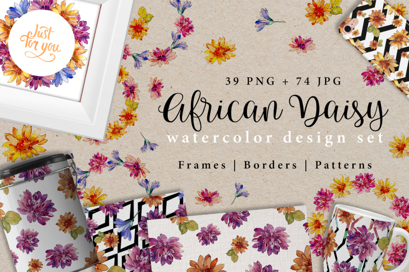 african-daisy-png-watercolor-design-set