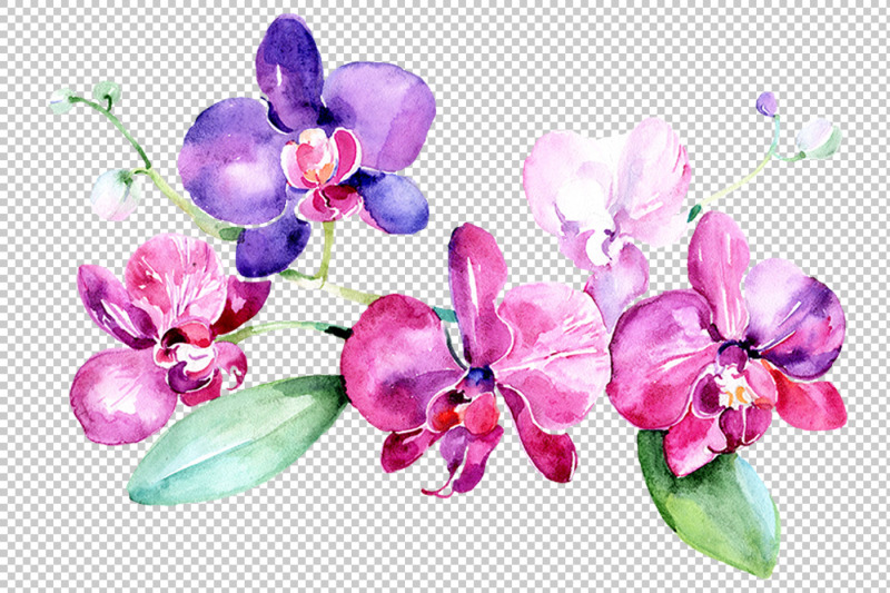 branch-of-purple-orchids-png-watercolor-set