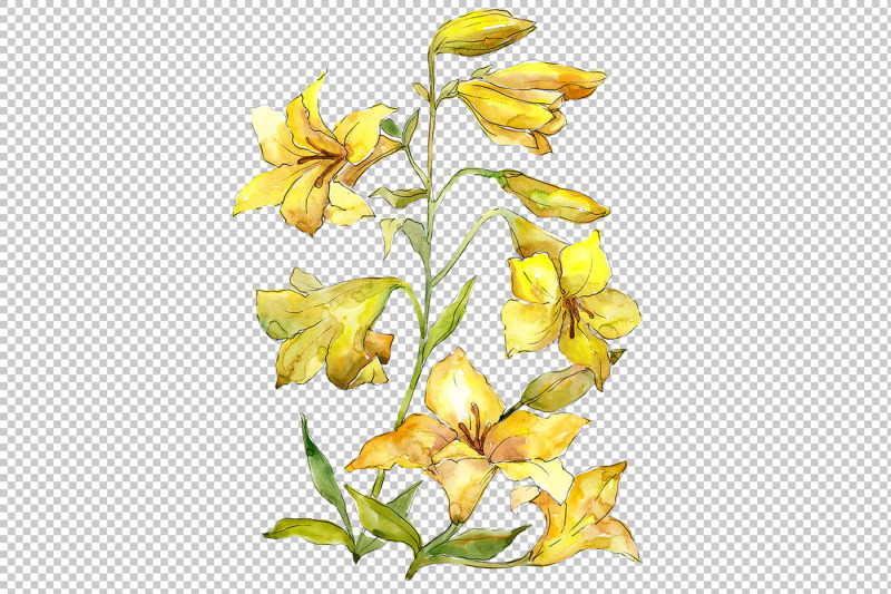 bouquet-of-yellow-lilies-png-watercolor-flower-set