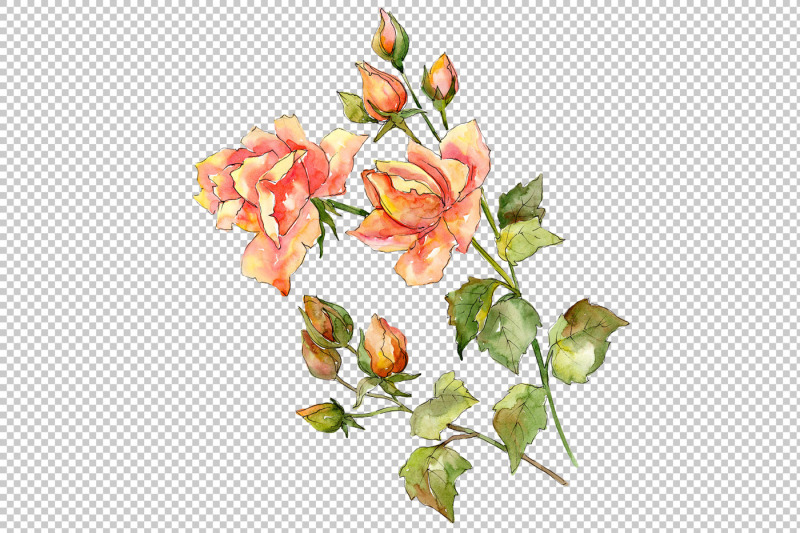 bouquet-of-wonderful-roses-png-watercolor-set
