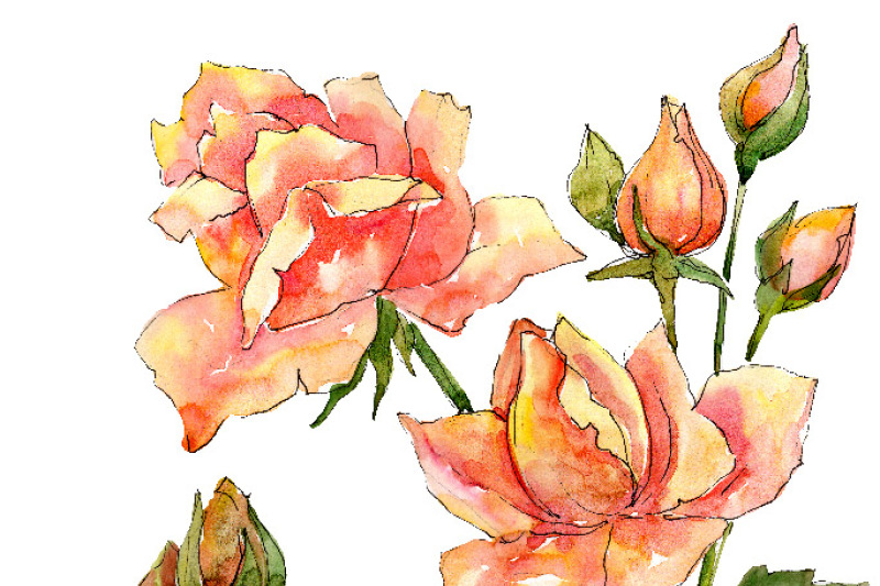 bouquet-of-wonderful-roses-png-watercolor-set
