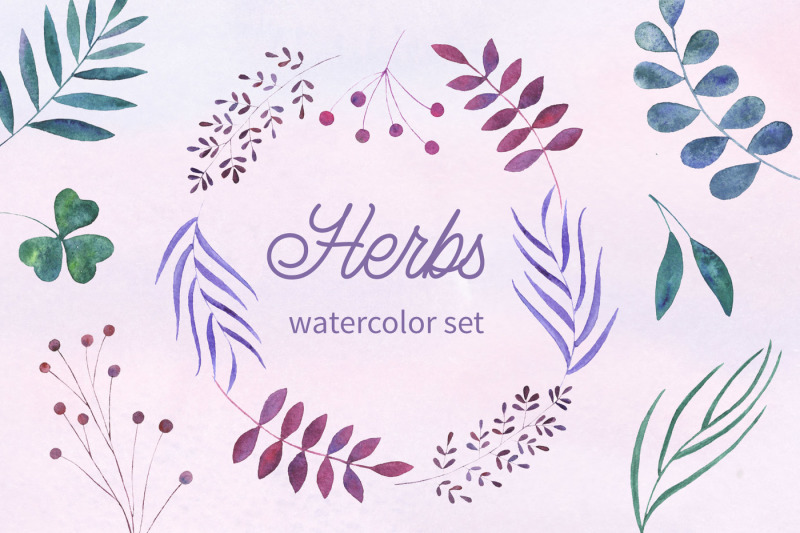 herbs-watercolor-collection