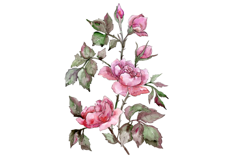 elegant-bouquet-of-pink-rose-png-watercolor-set