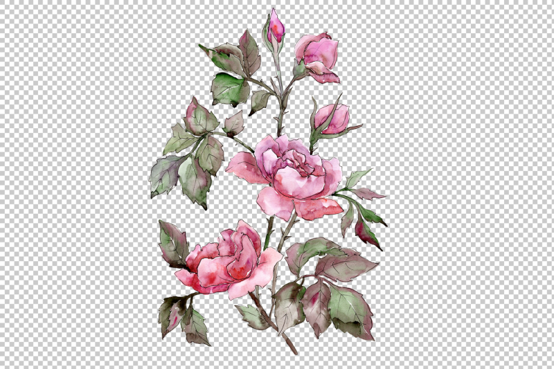 elegant-bouquet-of-pink-rose-png-watercolor-set