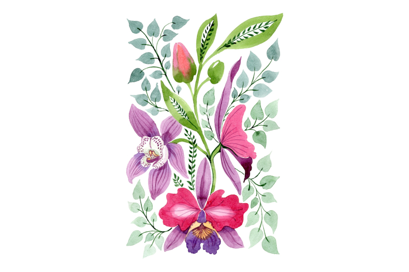 floral-ornament-of-orchid-flowers-png-set