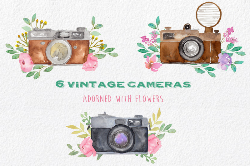 vintage-cameras-and-flowers-clipart