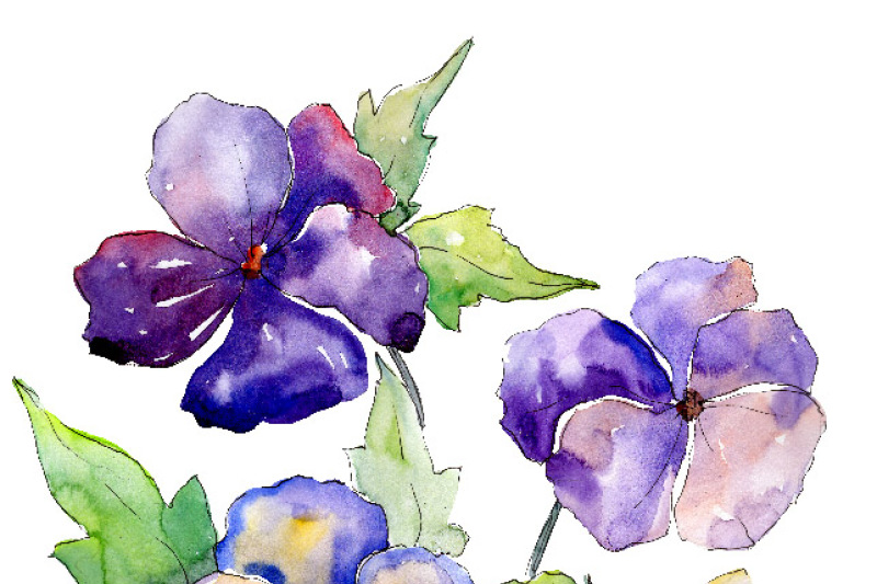 watercolor-bouquet-of-purple-viola-png-set