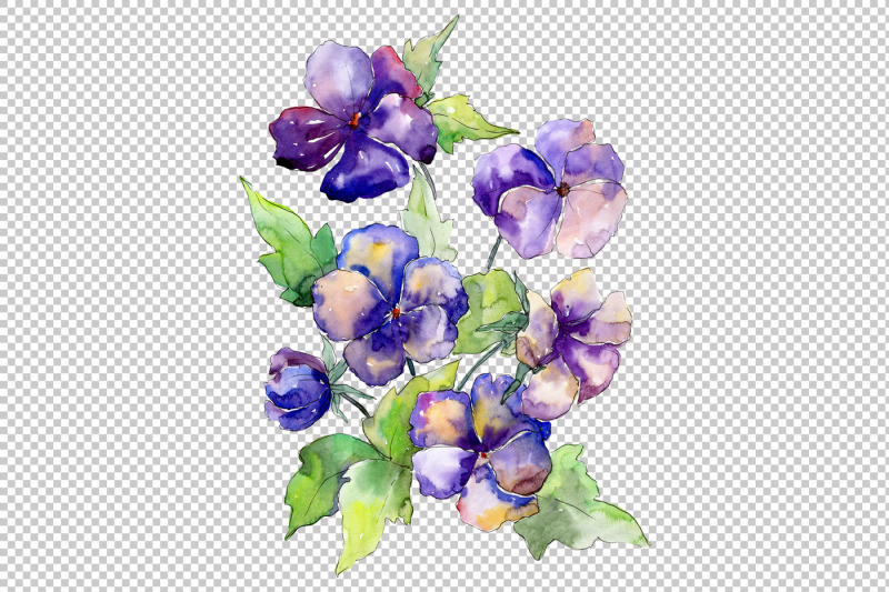 watercolor-bouquet-of-purple-viola-png-set