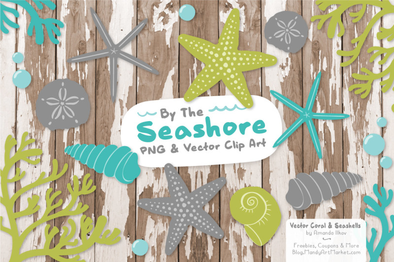 seashore-shells-and-coral-clipart-in-land-and-sea